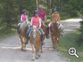 Equitazione su cavalli avelignesi sul Brunnerhof