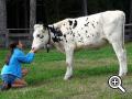 Agriturismo con i bambini