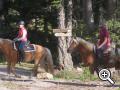 Reitferien, Urlaub auf dem Bauernhof