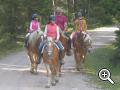 Reiten auf Haflingerpferden am Brunnerhof