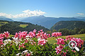 Vista panoramica dal balcone