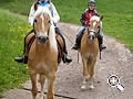 Equitazione su cavalli avelignesi sul Brunnerhof
