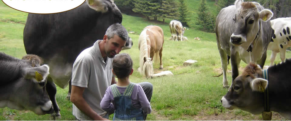 Urlaub auf dem Bauernhof, Südtirol