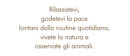 Rilassatevi, godetevi la pace lontani dalla routine quotidiana, vivete la natura e osservate gli animali.